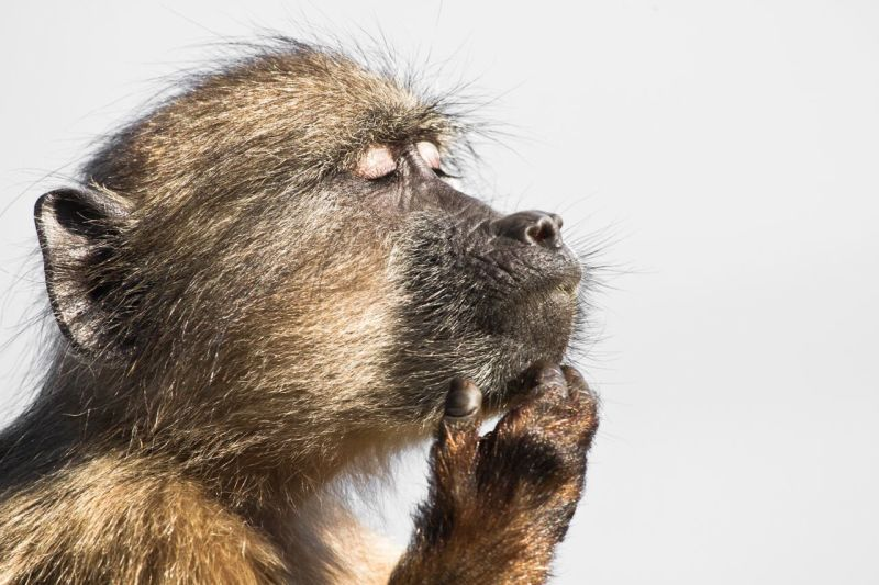 Illustration for article titled Las fotos de naturaleza más espectaculares de 2015